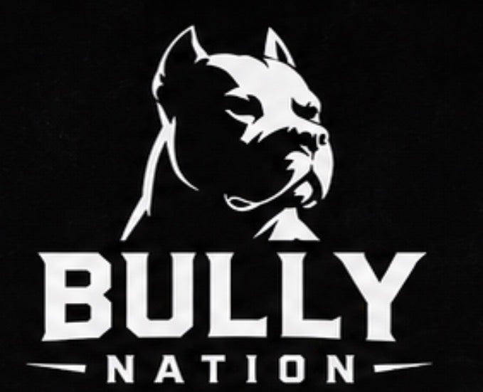 Bully Nation